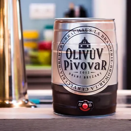 Penzion Olivův Pivovar Dolni Brezany