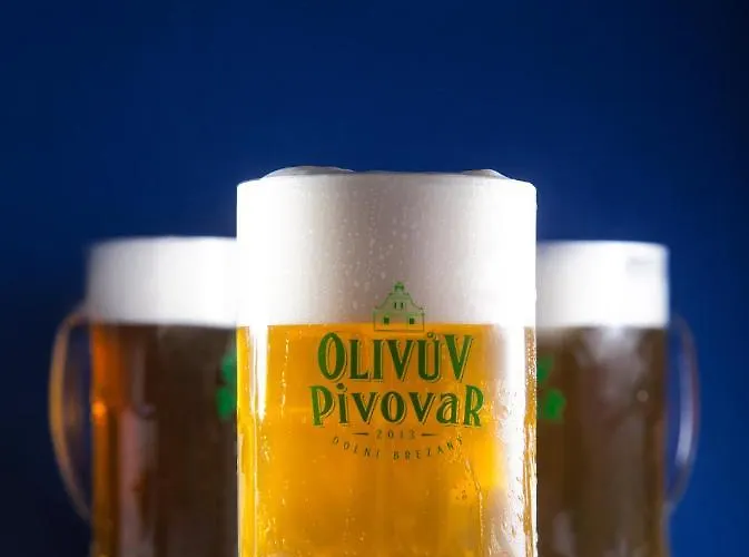 Olivuv Pivovar بيت ضيافة