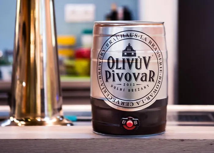 بيت ضيافة Olivuv Pivovar Dolni Brezany